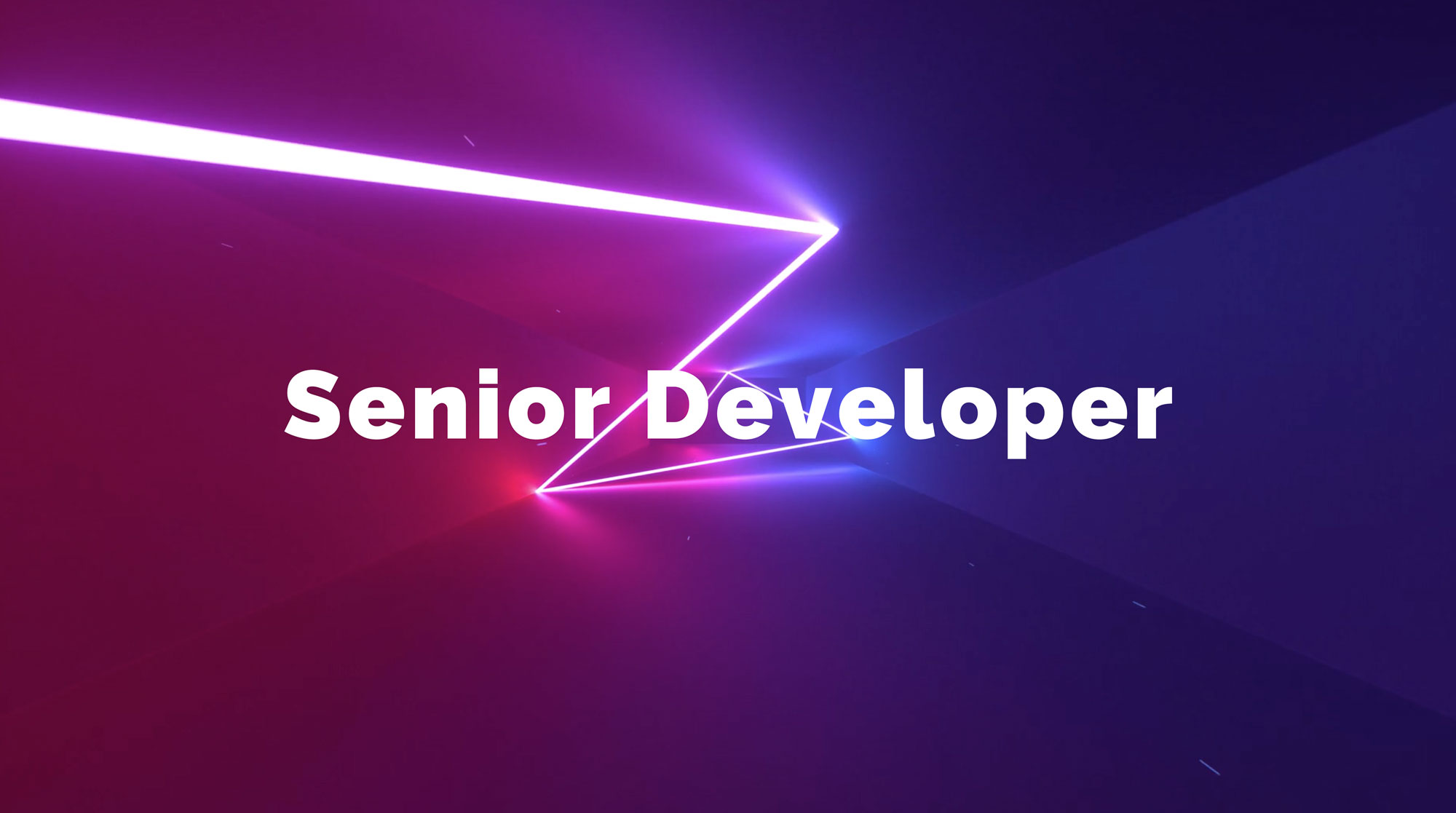 Rekry: Senior Developer